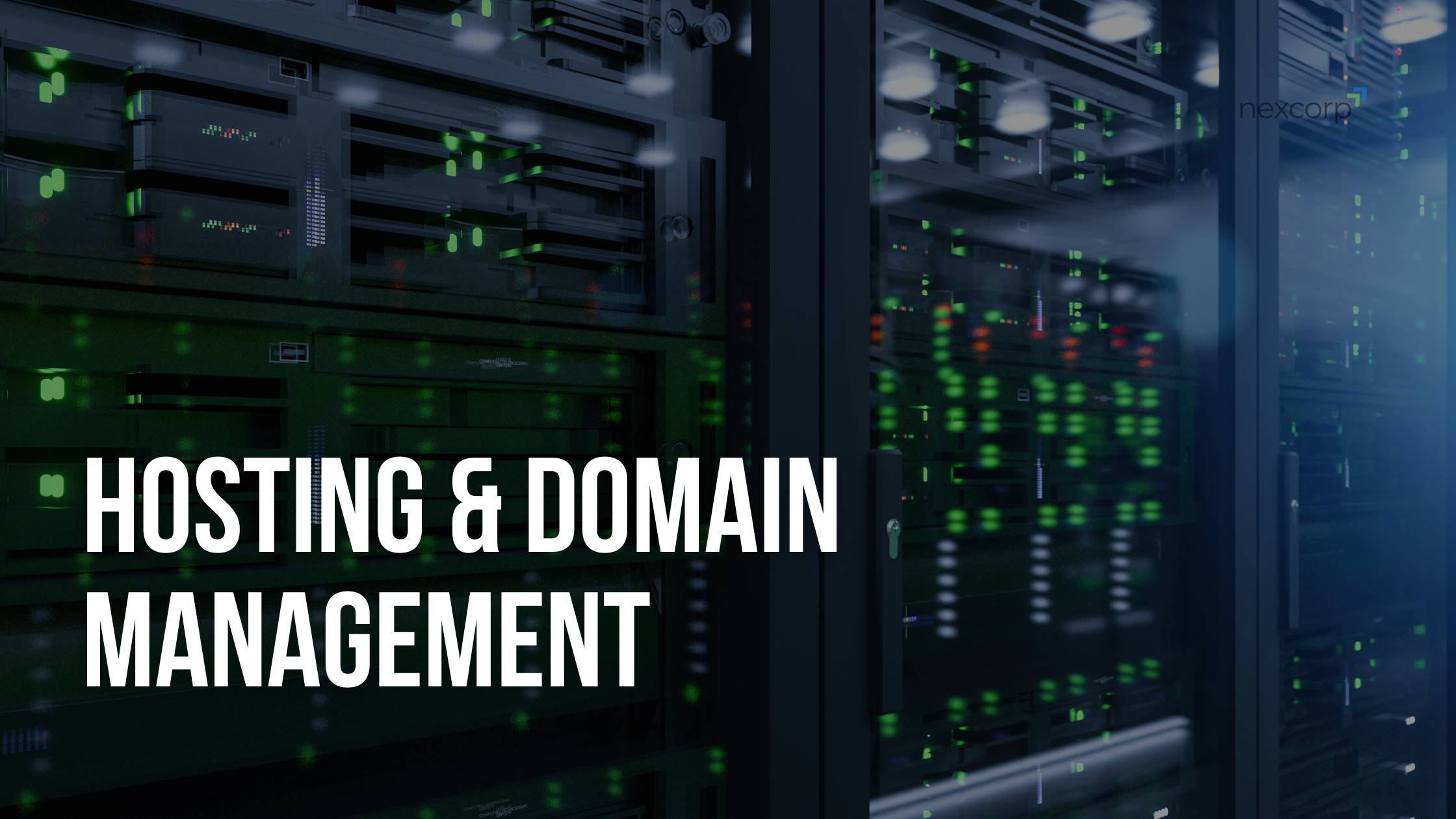 Reliable Hosting & Domain Management for Your Website - Blog - Our Services - NexCorp