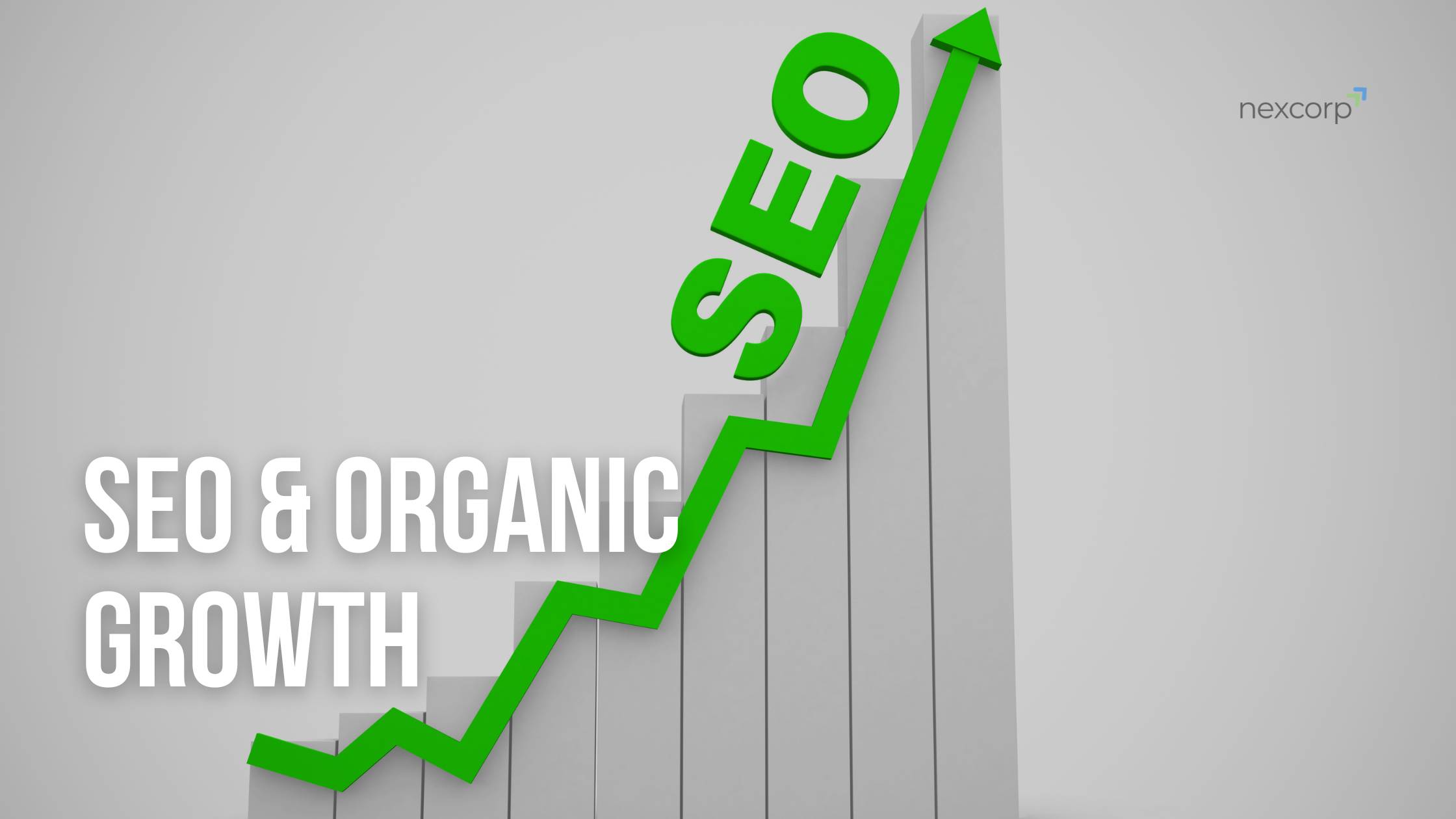 SEO Services That Drive Traffic and Long-Term Growth - Blog - Our Services - NexCorp